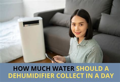 How Long Does It Take For A Dehumidifier To Work? (Solved