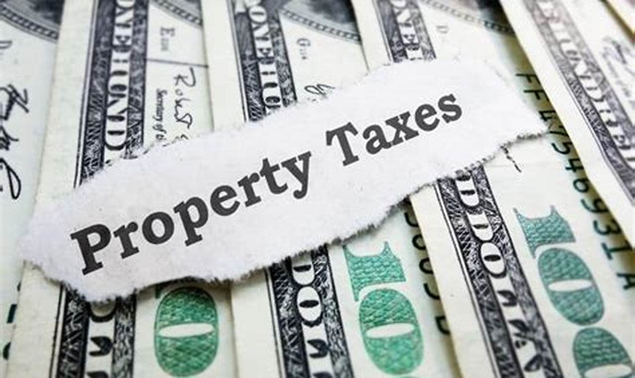 How Often Do You Pay Property Tax?