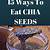 how often should i eat chia seeds