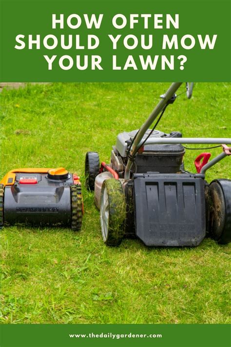 How Often Should You Mow Your Lawn? in 2021 Mowing, Lawn care, Lawn