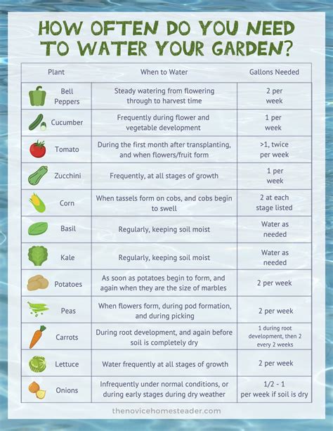 How Often Should I Water A Raised Vegetable Garden? Dos and Don’ts. in