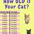 how old is 10 years for a cat