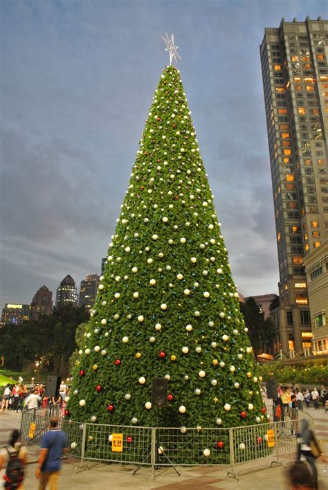 Tagum World's Tallest Christmas Tree YouTube