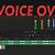 how to add voice over in davinci resolve