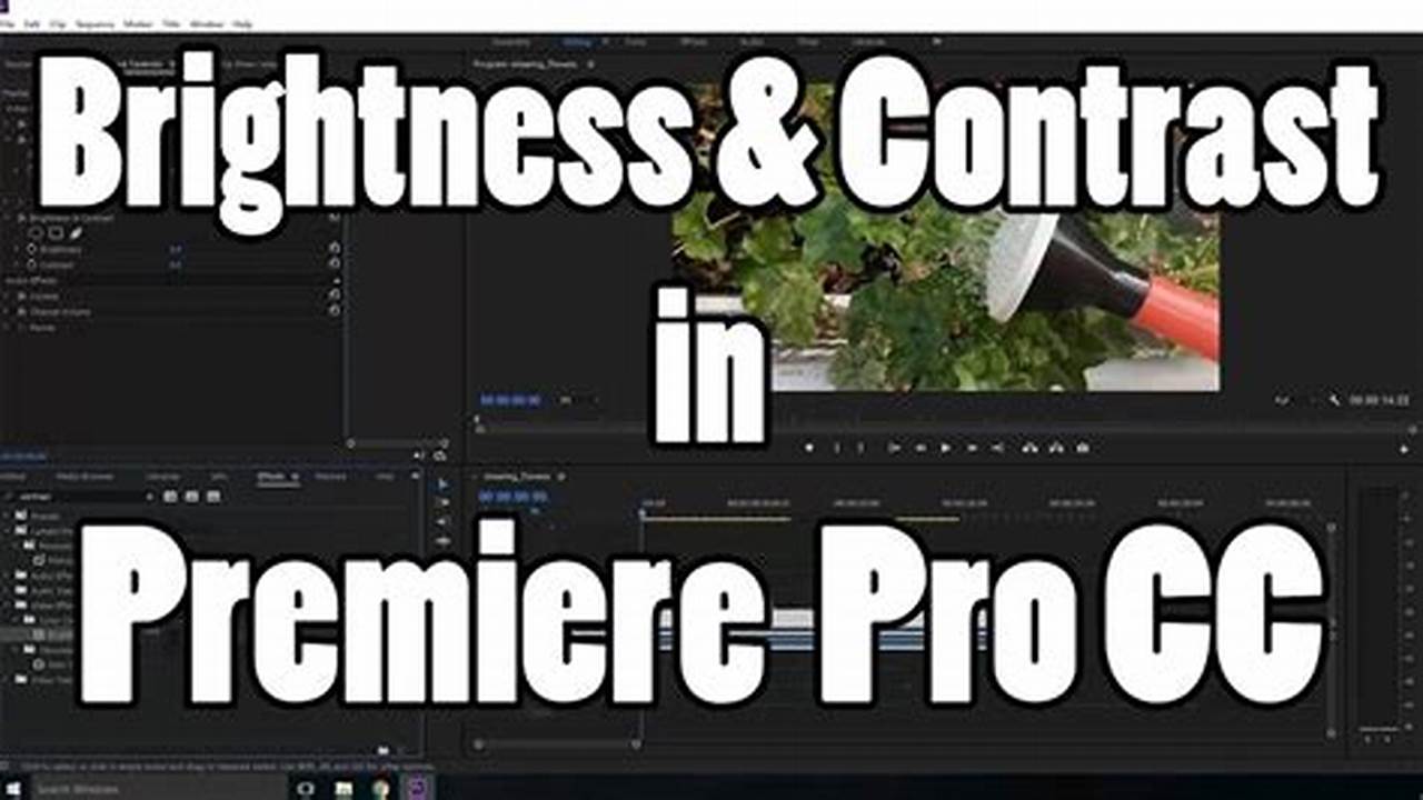 Unlock the Art of Brightness Adjustment in Premiere Pro: Discover Pro Techniques and Insights