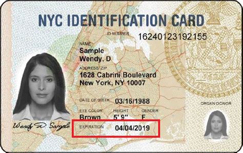 NEW YORK FAKE ID in 2020 Drivers license, License photo, New york fake id