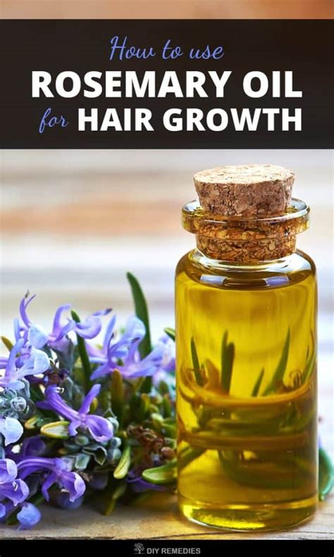 How To Use Rosemary Essential Oil For Hair Growth healthyofnow 