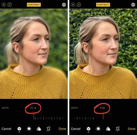 How to Blur Photo Backgrounds Easier Than Ever Learn BeFunky