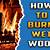 how to burn wet wood
