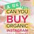 how to buy organic followers on instagram