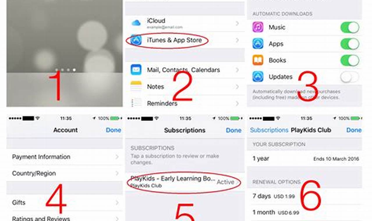 how to cancel an app subscription on iphone