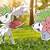 how to change shaymin form