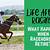 how to change status on linkedin to retired racehorses often