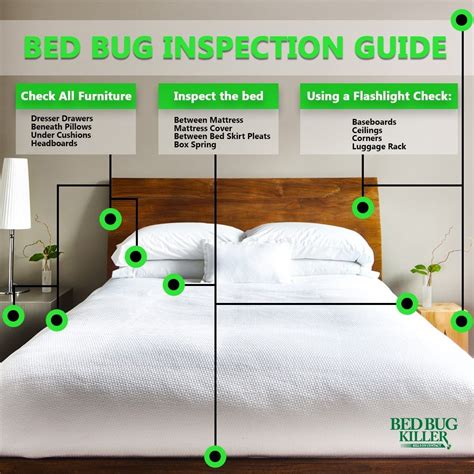 Read more about the article List Of How To Check For Bed Bugs References