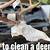 how to clean a deer skull with hydrogen peroxide