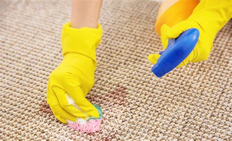 How to Clean a Jute Rug 9 Steps (with Pictures) wikiHow