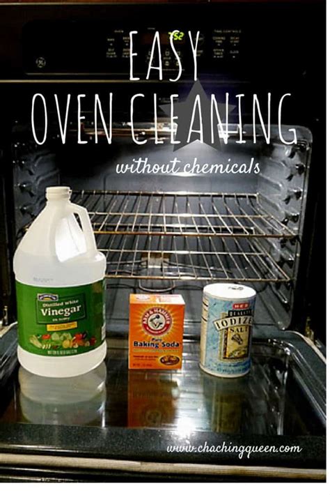 5 Simple Oven Cleaners without Baking Soda That Anyone Can Make