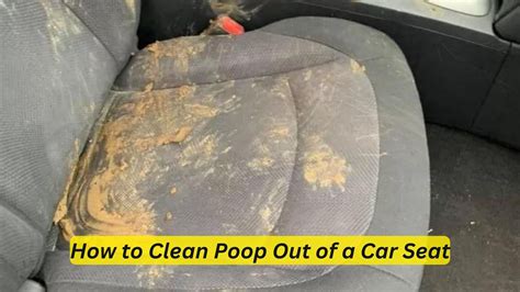 How to clean poop off leather car seats My Blog
