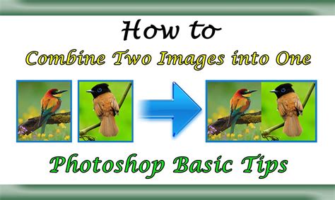 The 6 Best Free Online Tools to Combine Two Photos Into One