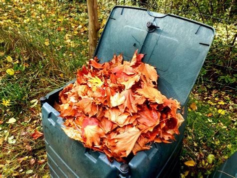 Making a Quick Compost Using Autumn Leaves Southeast