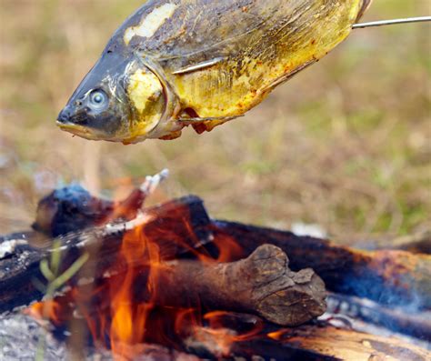 Campfire Grilled Fish Tacos Recipe Fish tacos, Grilled fish tacos