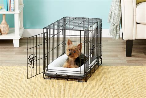 How to Crate Train A Puppy?