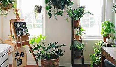 How To Design Indoor Plants