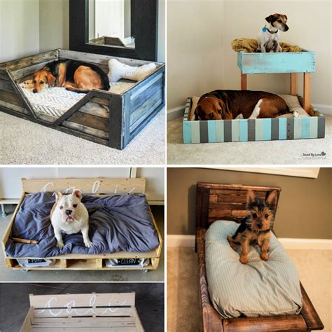 20 Easy DIY Dog Beds and Crates That Let You Pamper Your Pup DIY & Crafts