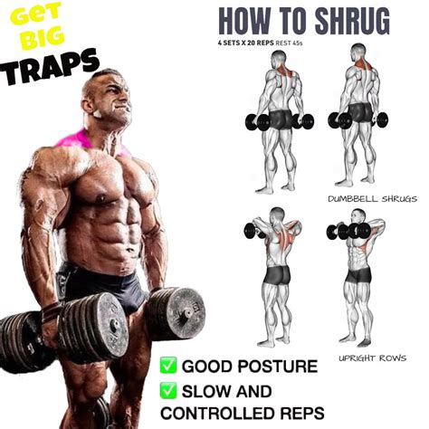 How To Do The Dumbbell Shrug (Traps) Fitness Volt