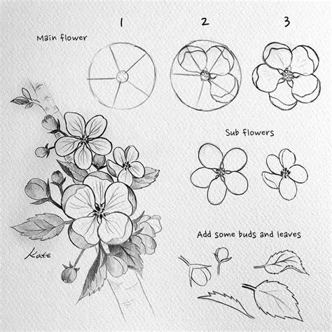 How to draw a cherry blossom Step by step Drawing
