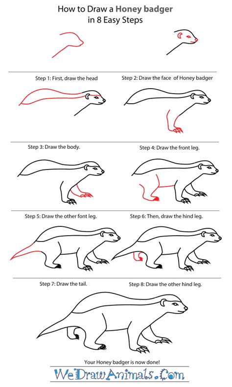 How to Draw Animals Wolverines, Badgers, Otters and Martens