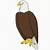 how to draw a bald eagle
