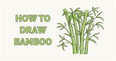 How to Draw Bamboo Step by Step Easy Drawing Guides