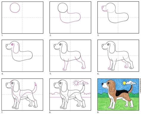 Learn How to Draw a Beagle (Farm Animals) Step by Step