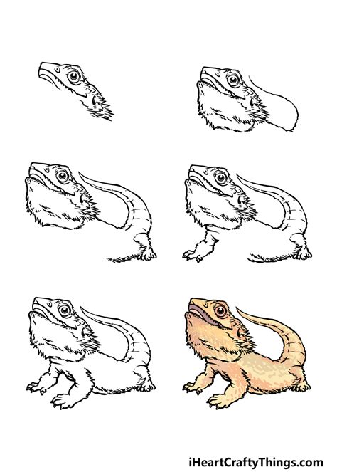 how to draw a bearded dragon, bearded dragon lizard step 6