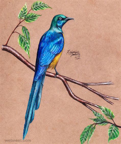 Pin by 𝙻𝚊𝚢𝚕𝚊 𝚕𝚘𝚕𝚘....🌹🦋 🌼 on تطريز Love birds drawing