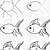 how to draw a beautiful fish step by step