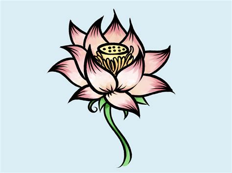 Lotus Flower Drawing Color at GetDrawings Free download