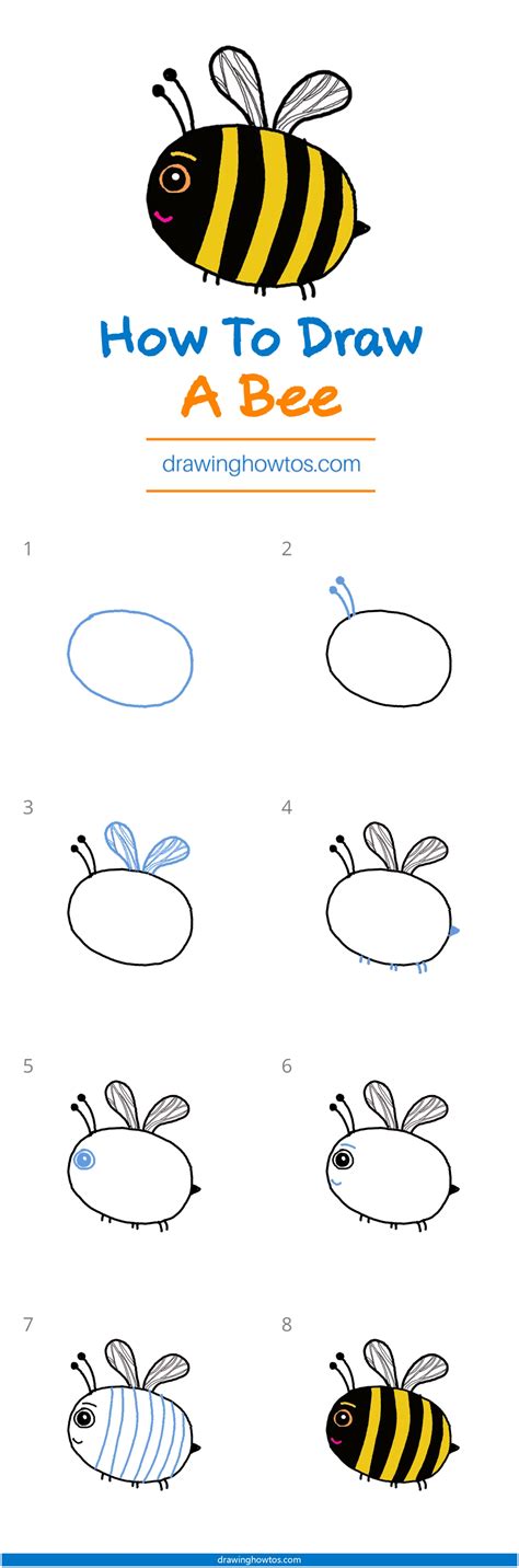 How to draw BEE step by step The Smart Wander