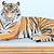 how to draw a bengal tiger step by step