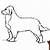 how to draw a bernese mountain dog step by step