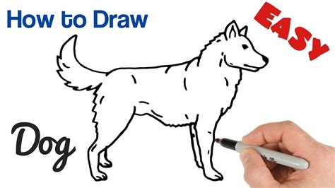 How to draw a Dog easy step by step The Smart Wander