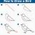 how to draw a bird by step by step
