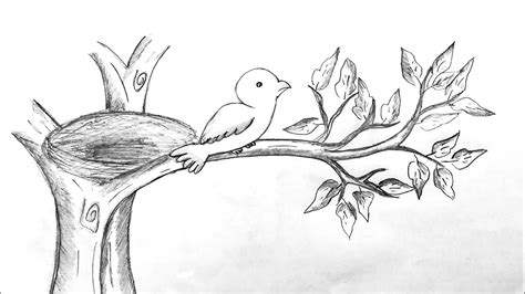 how to draw a bird sitting on a tree branch simple easy