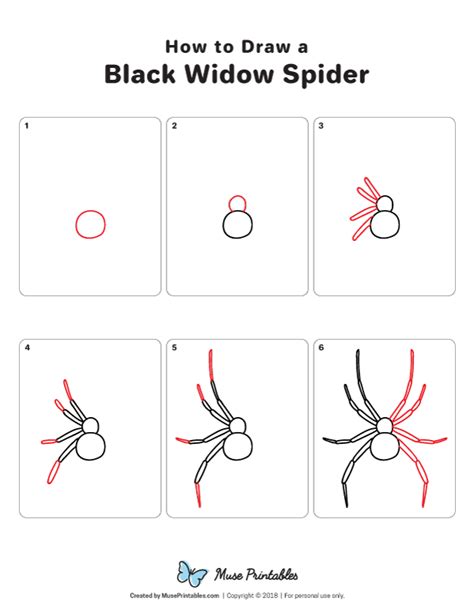 How to Draw a Black Widow Spider Step By Step YouTube