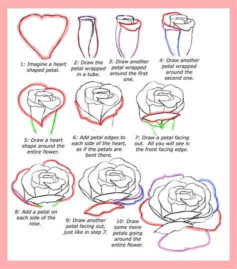 How to draw a rose stepbystep guide for beginners