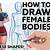 how to draw a body female step by step