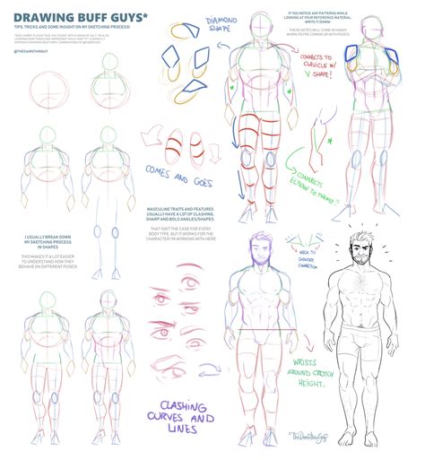 male body tutorial by talitarj on DeviantArt Body