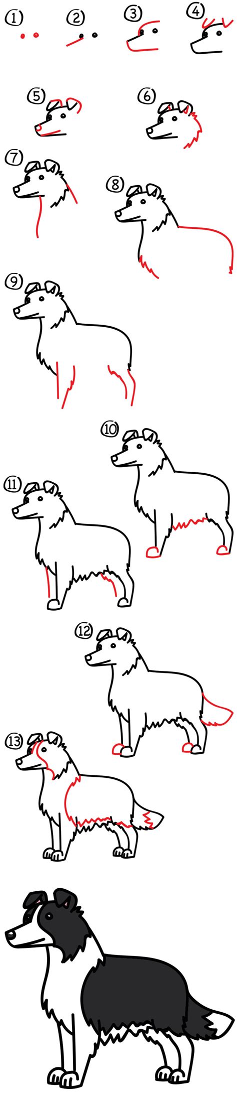 How To Draw A Border Collie Art For Kids Hub