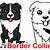 how to draw a border collie